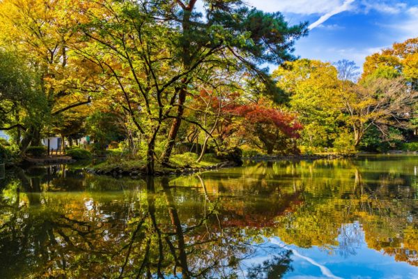 広尾にある有栖川公園の風景。有栖川公園の周辺にも出張アロママッサージに伺っています。