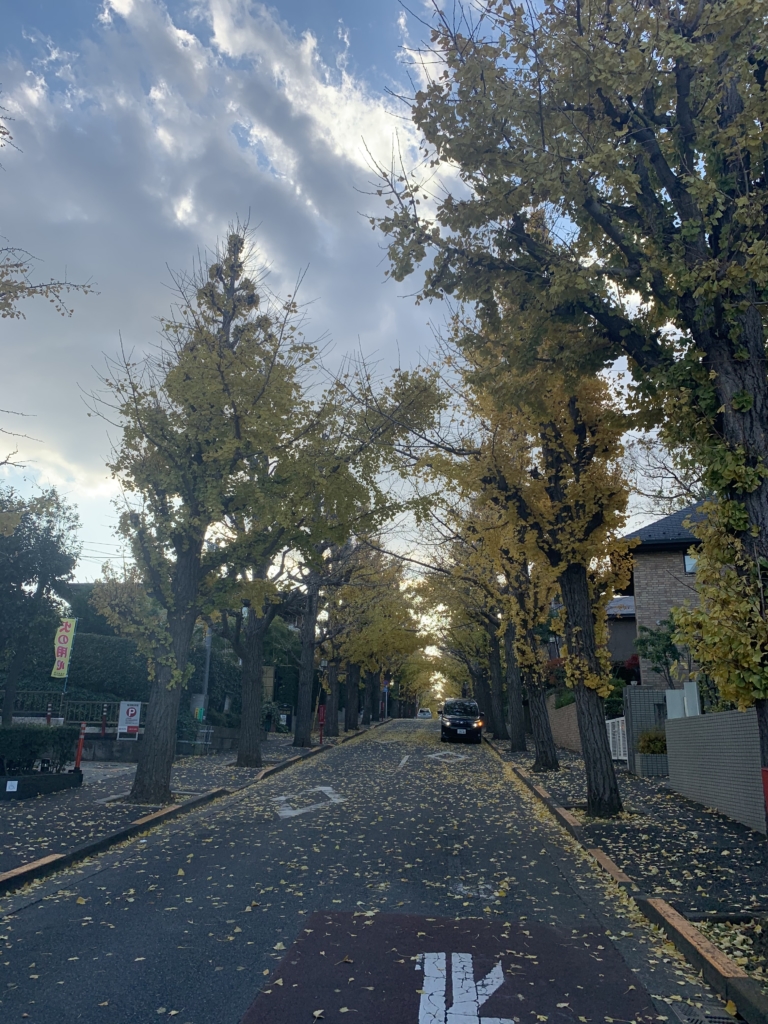 田園調布駅西側の並木道の画像