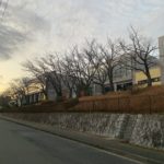 あざみ野の四季芸術センター