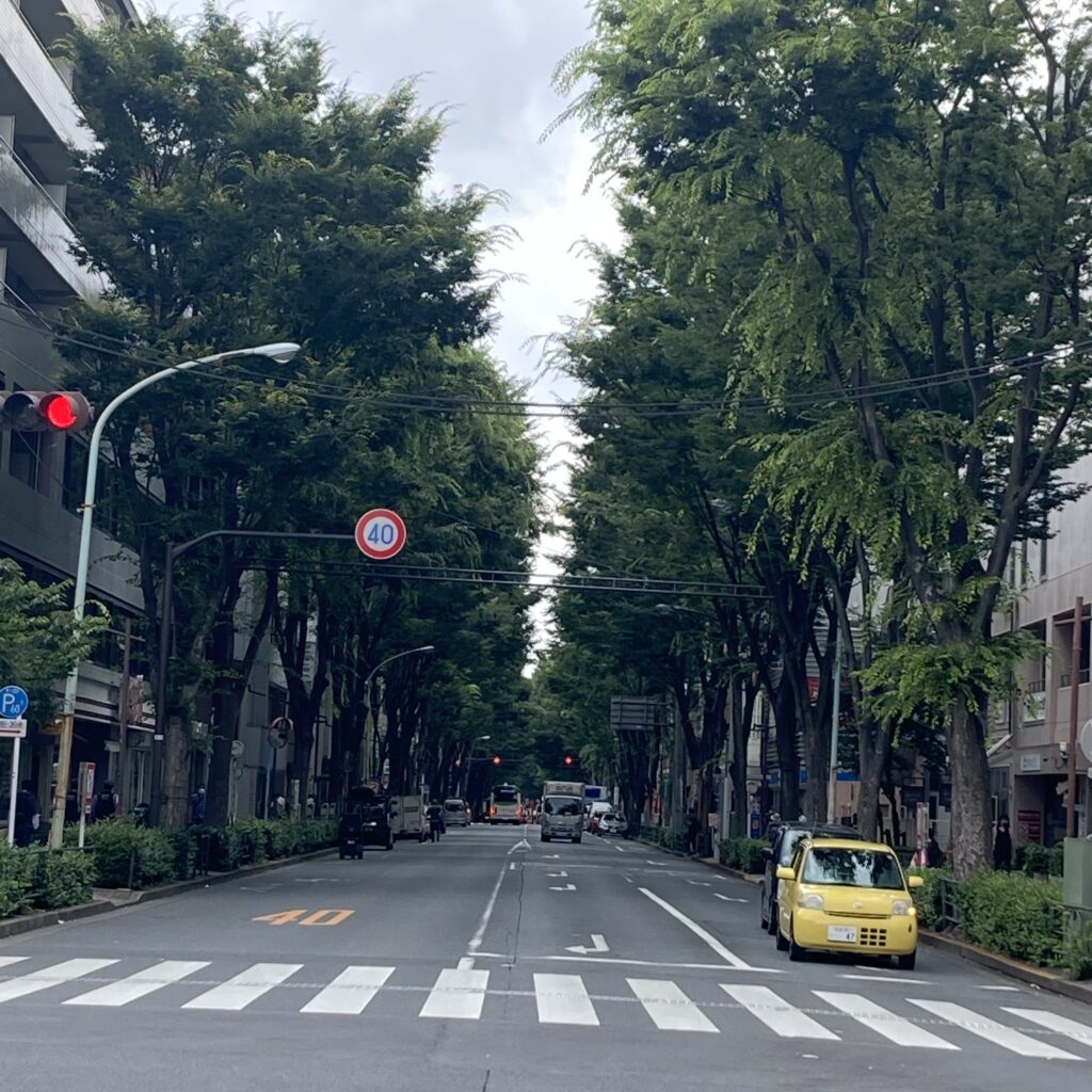 アロマオイルマッサージ無料体験エステで人気の青山一丁目・表参道・外苑前駅近の女性専用サロン | アロマオイルマッサージ・リンパマッサージ無料体験エステ  – 女性専用