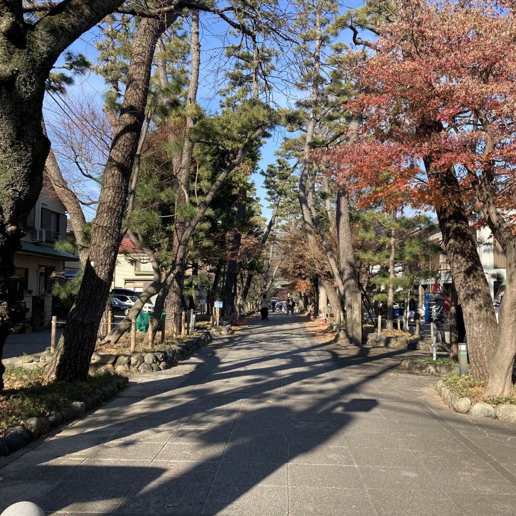 九品仏浄真寺の参道