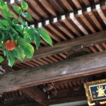 柿生駅が最寄りの名刹王禅寺