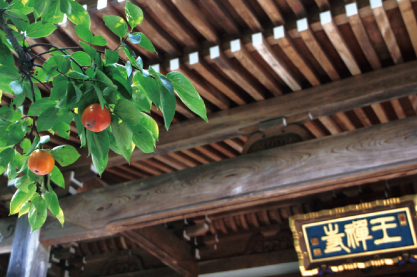 柿生駅が最寄りの名刹王禅寺